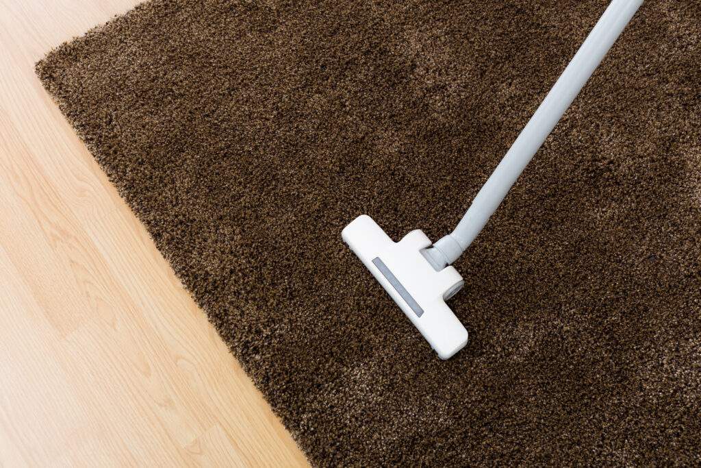 carpet cleaning services