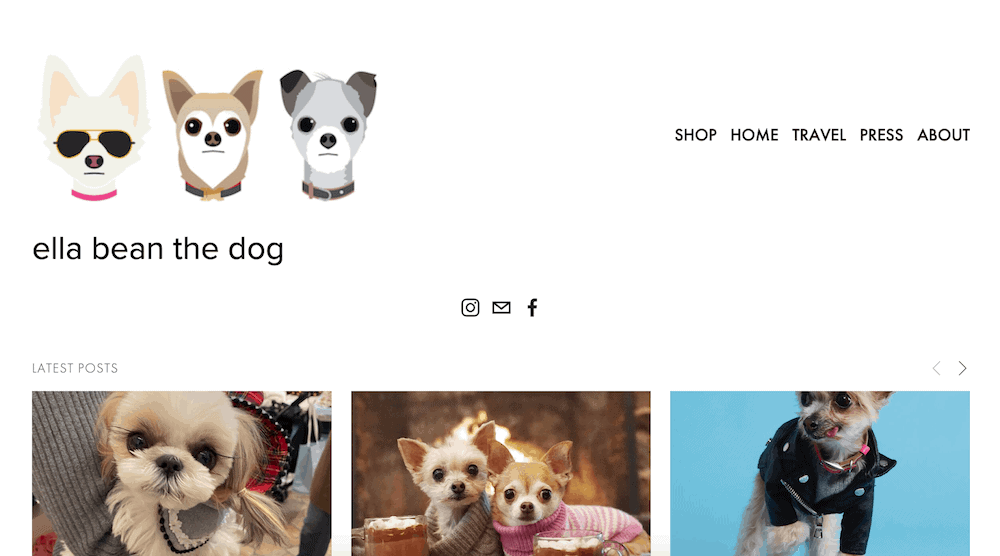 pet industry marketing ideas