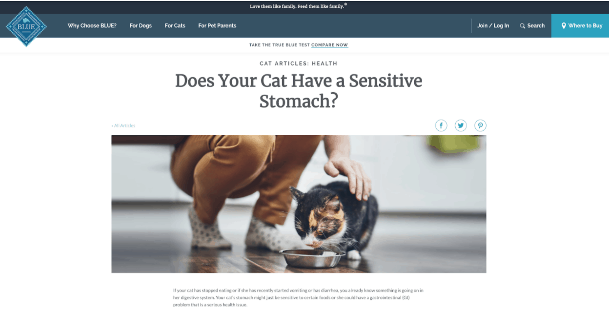 cats sensitive stomach