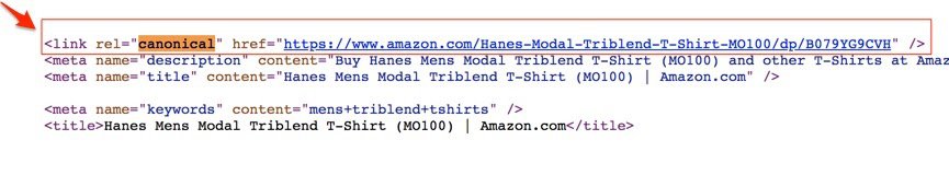 amazon canonical tags