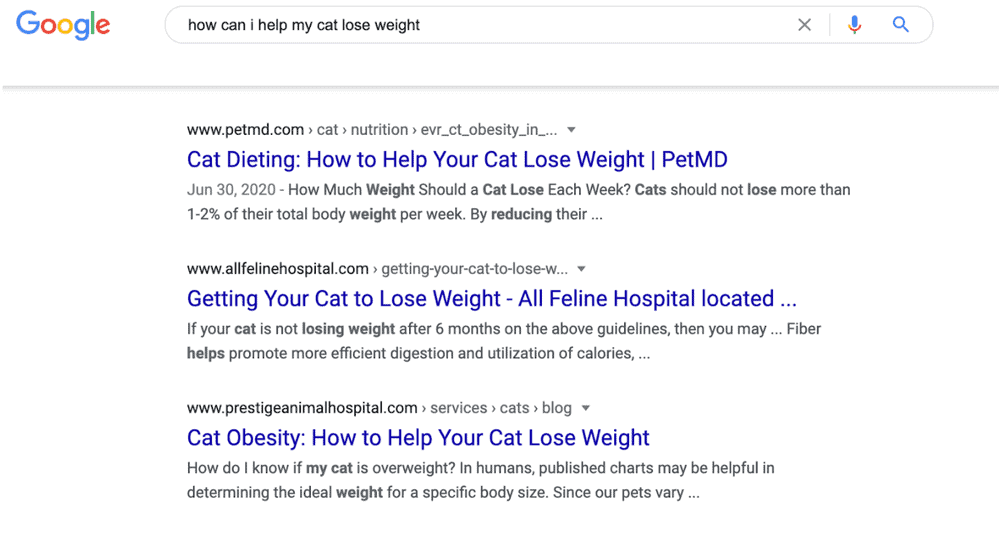 cat dieting