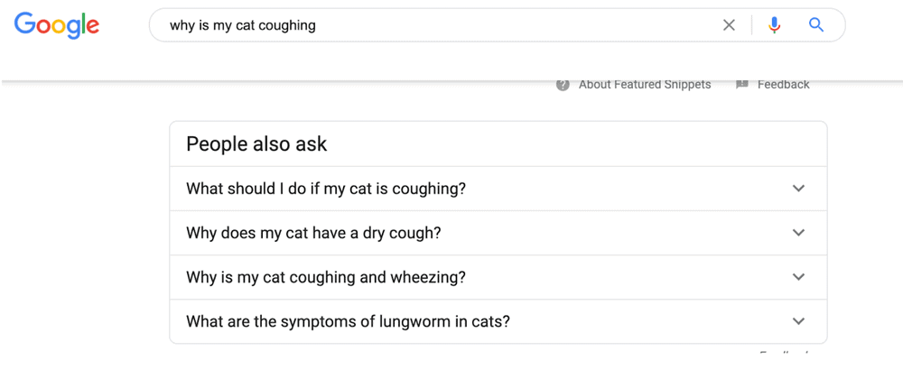 google cat coughing