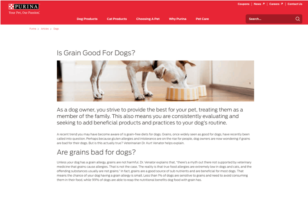 grain food for dogs