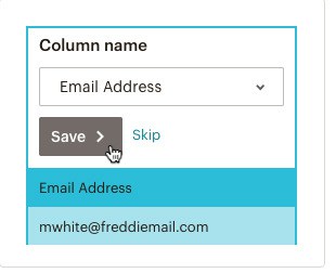 mailchimp import email address