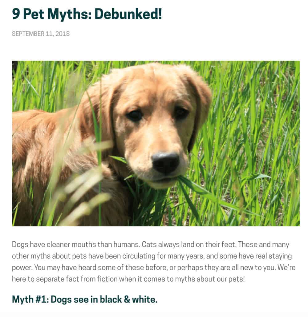 pet myths debunked