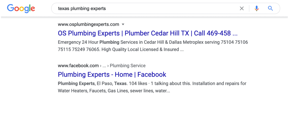 texas plumbing experts